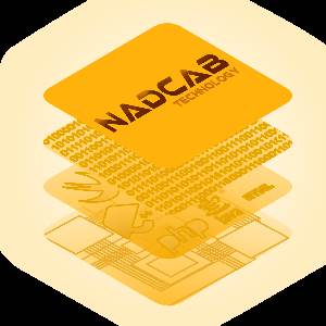 NFT TOKEN DEVELOPMENT